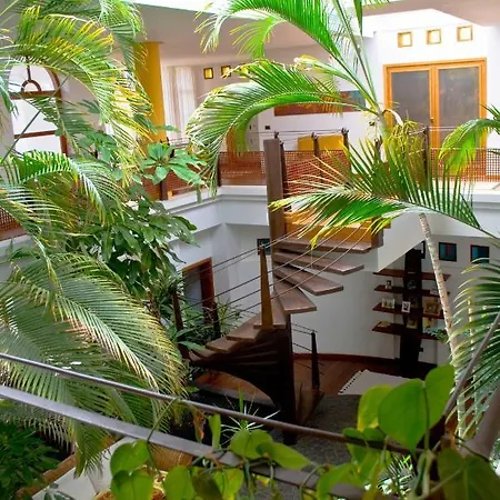 Vakantiehuis Oasis *