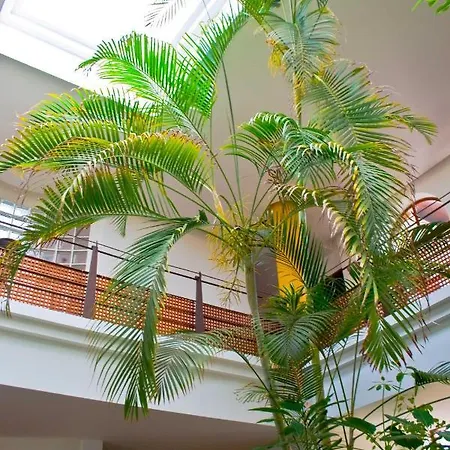 Vakantiehuis Oasis *